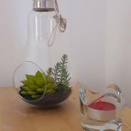 Ritta's House Lejlighed Albufeira