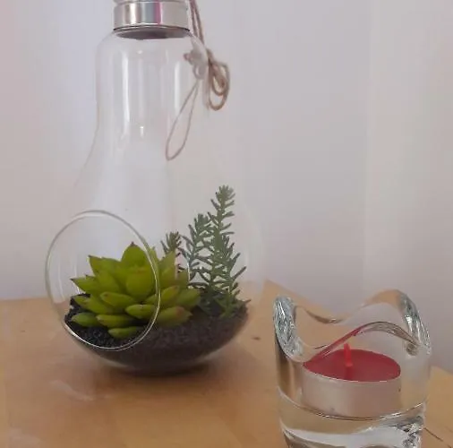 Ritta's House 公寓 阿尔布费拉